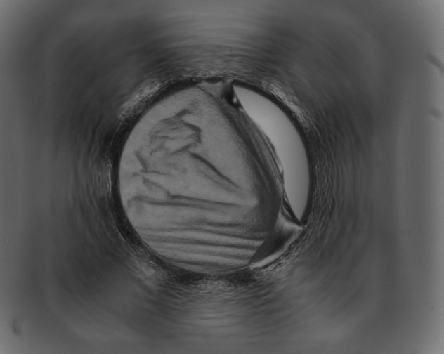 X0000091920685200710031040