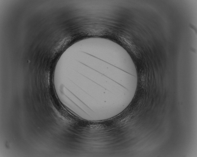 X0000091920686200710031039