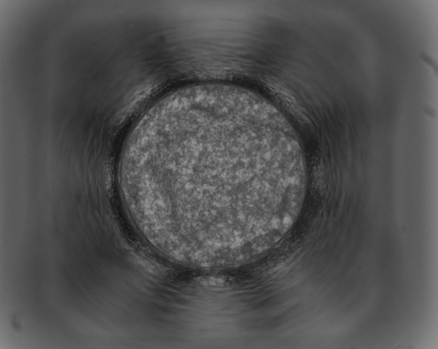 X0000091920687200710031039