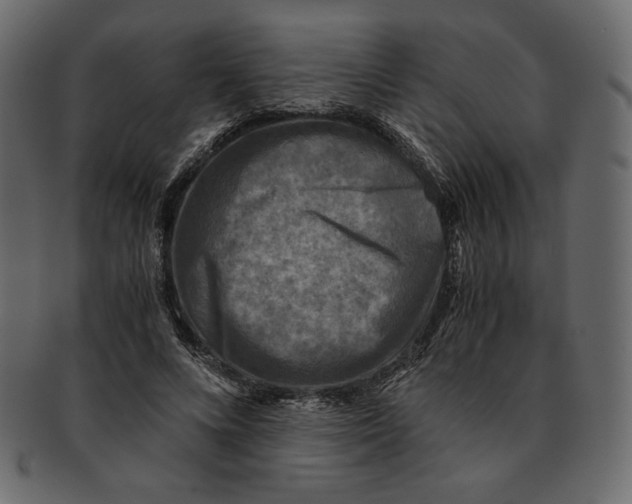X0000091920688200710031039