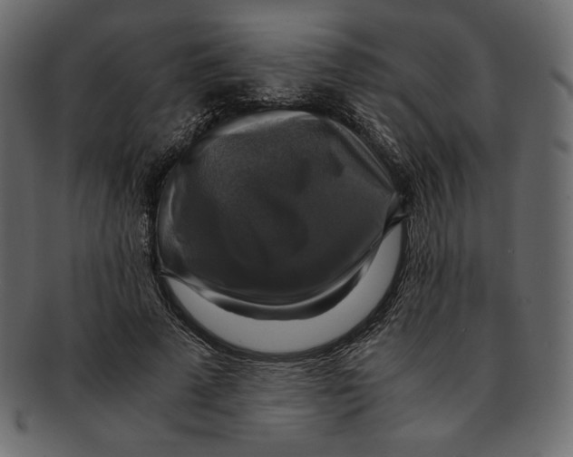 X0000091920689200710031039