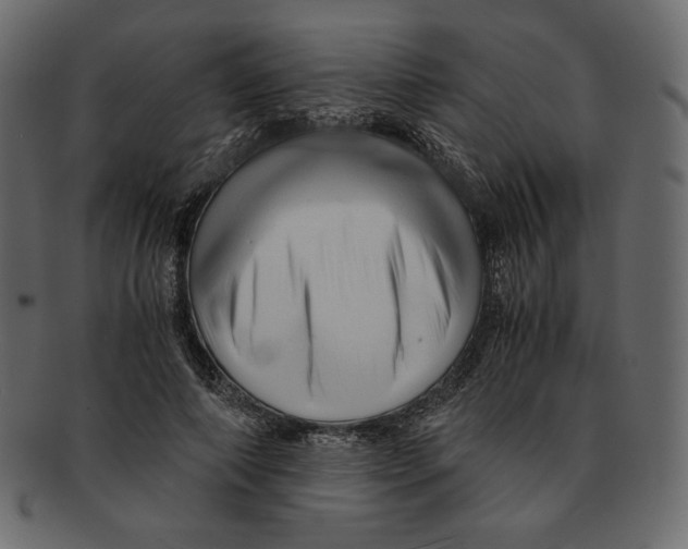 X0000091920690200710031039