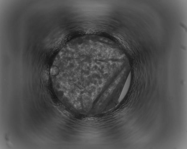 X0000091920691200710031039
