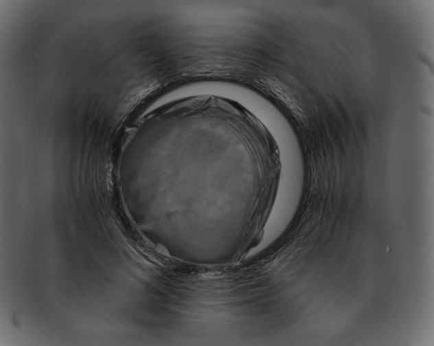 X0000091920692200710031039