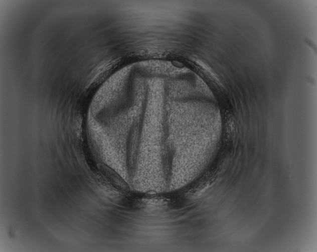 X0000091920693200710031039