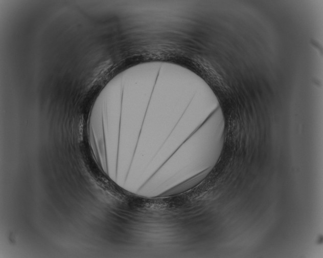 X0000091920694200710031039