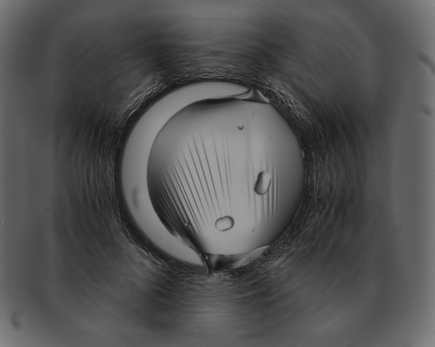 X0000091920696200710031039