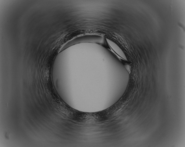 X0000091920697200710031039