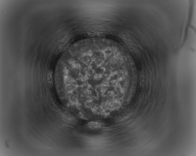 X0000091920699200710031039