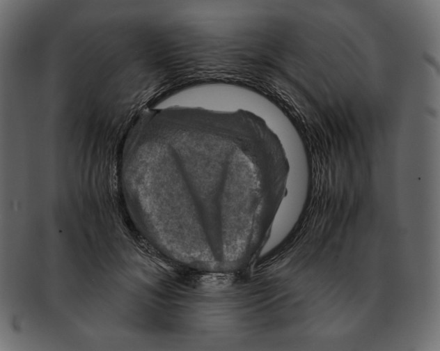 X0000091920700200710031039