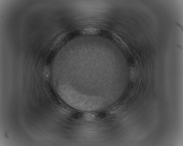 X0000091920701200710031039