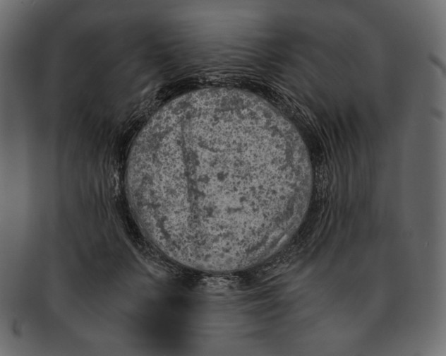 X0000091920703200710031039
