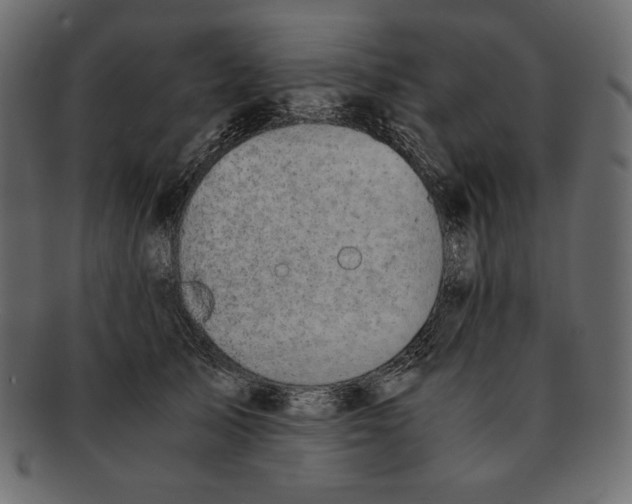X0000091920705200710031039