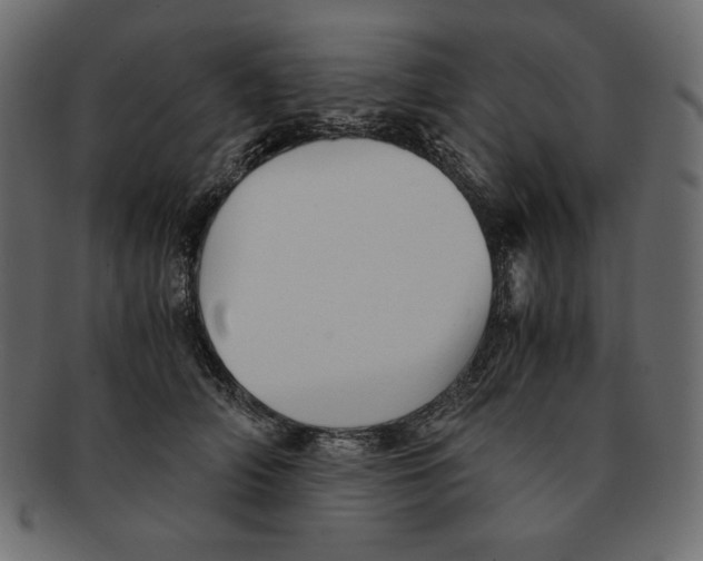 X0000091920706200710031039