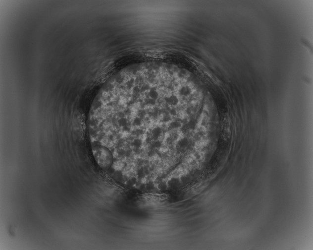 X0000091920707200710031039