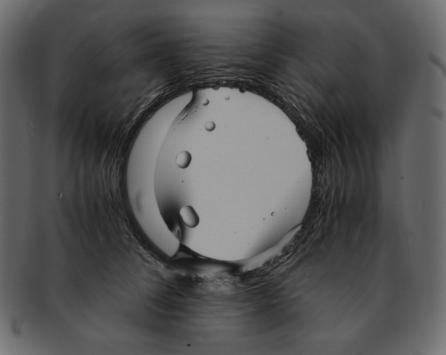 X0000091920708200710031039
