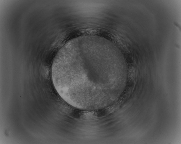 X0000091920709200710031039