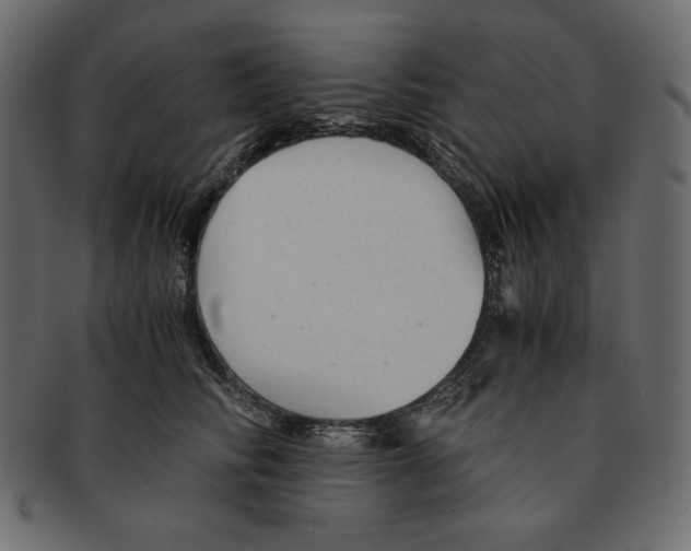 X0000091920710200710031039