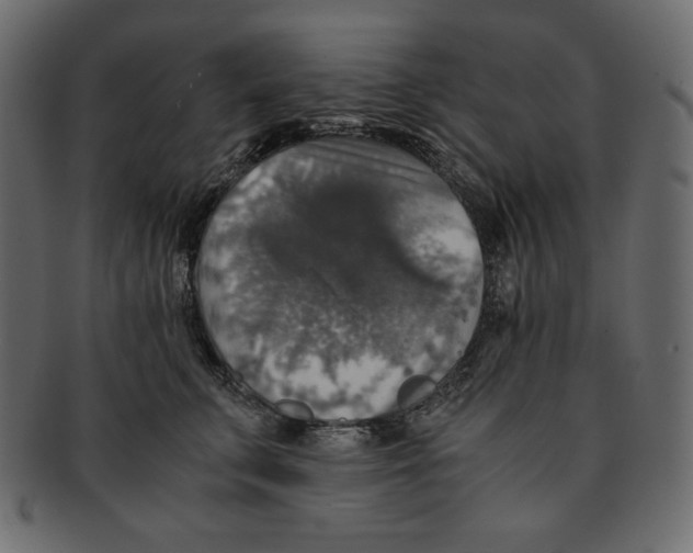 X0000091920711200710031039