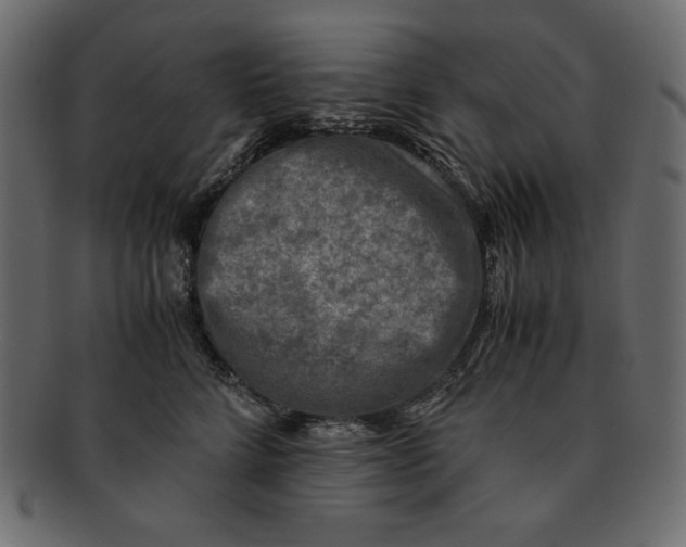 X0000091920712200710031039