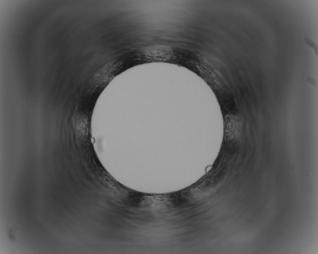 X0000091920713200710031039