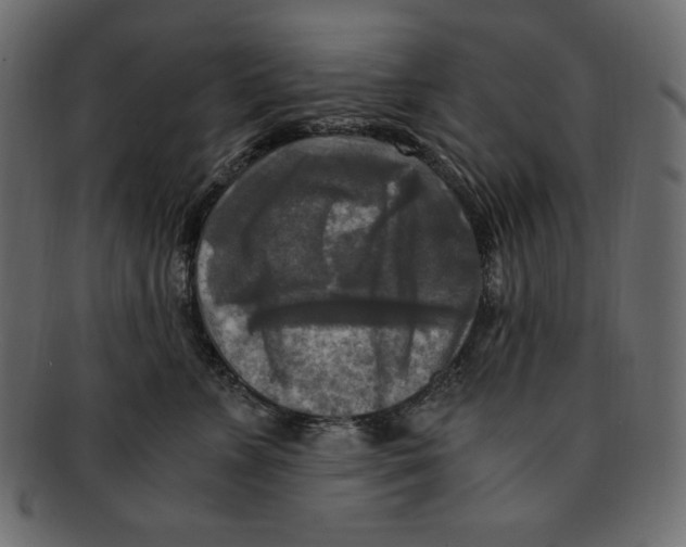 X0000091920715200710031039