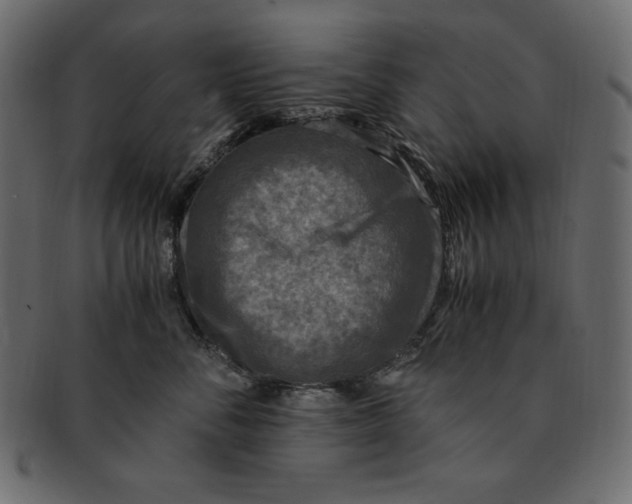X0000091920716200710031039