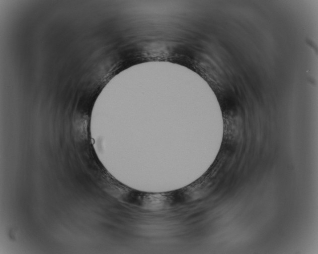 X0000091920717200710031039