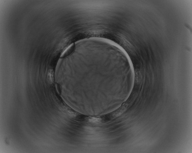 X0000091920718200710031039