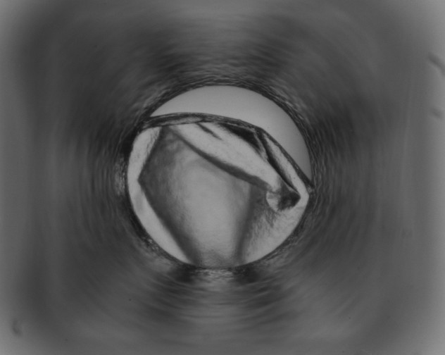X0000091920719200710031039