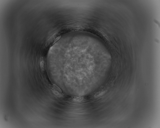X0000091920720200710031039