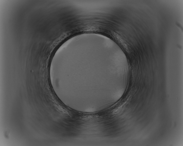 X0000091920721200710031038