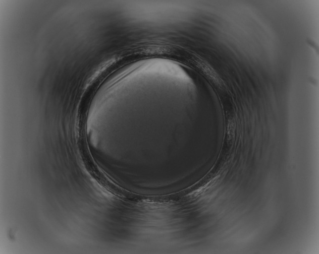 X0000091920722200710031038