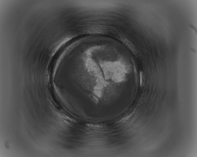 X0000091920723200710031038