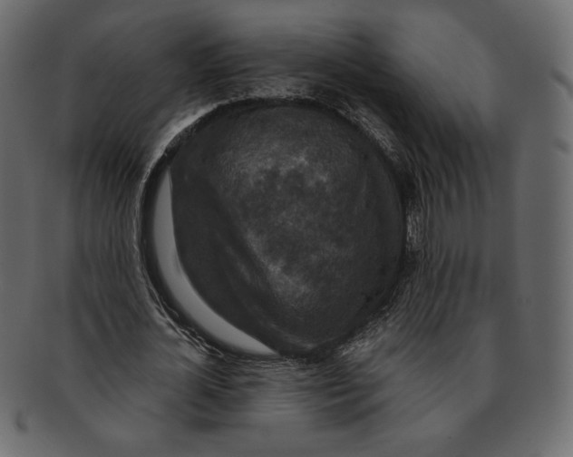 X0000091920724200710031038