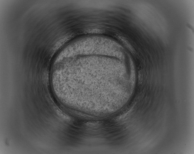 X0000091920725200710031038