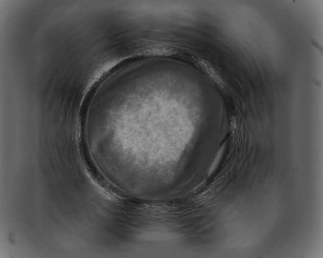 X0000091920726200710031038