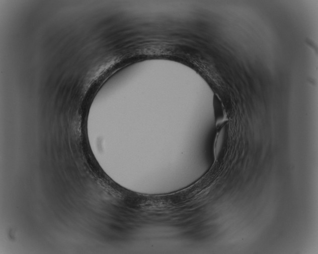 X0000091920727200710031038