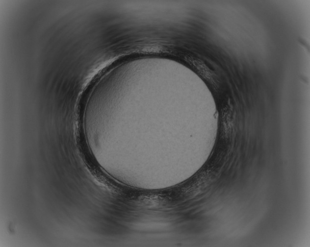 X0000091920728200710031038