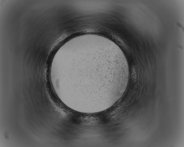X0000091920730200710031038