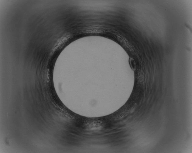 X0000091920731200710031038