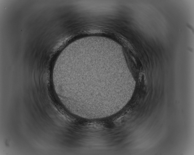 X0000091920732200710031038