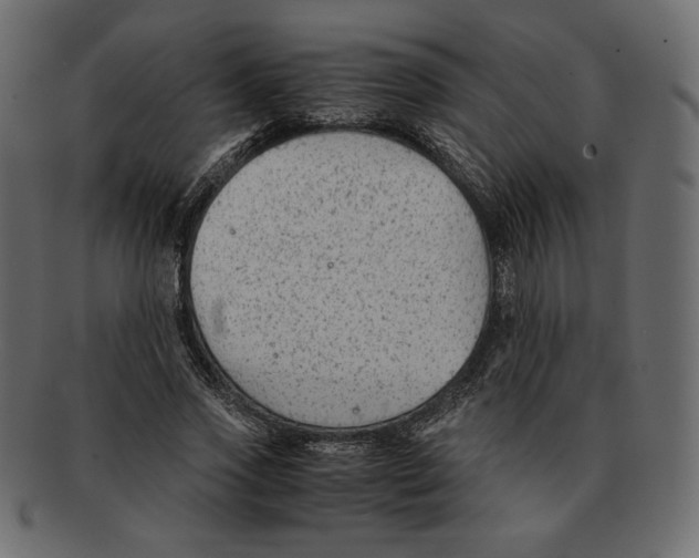 X0000091920733200710031038