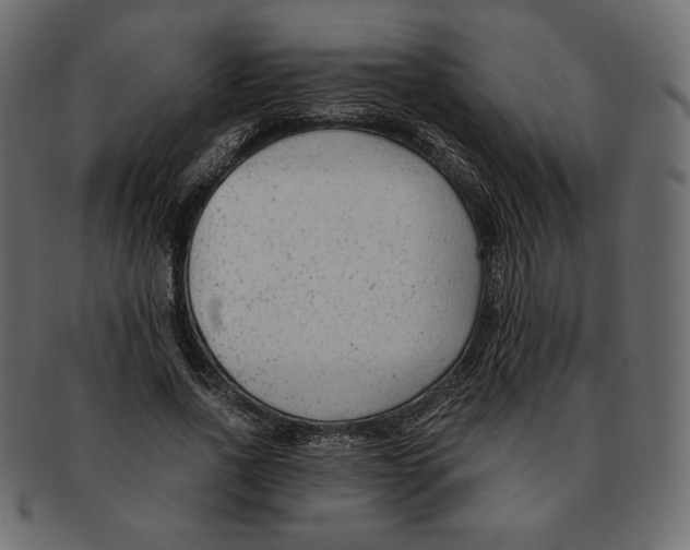 X0000091920734200710031039