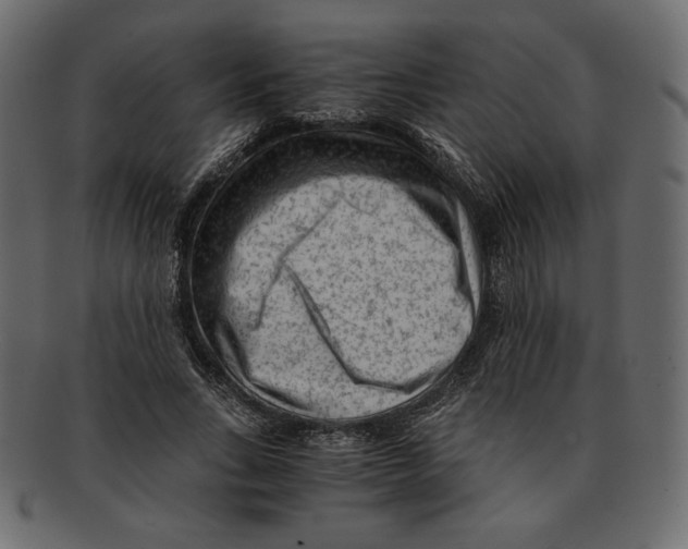 X0000091920735200710031039