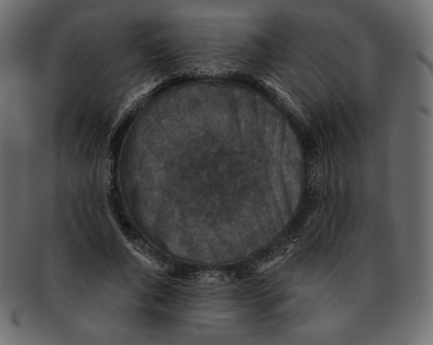 X0000091920736200710031039