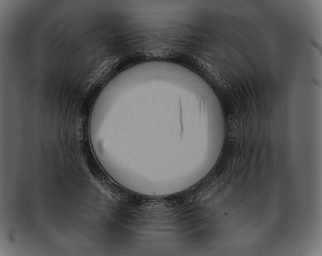 X0000091920738200710031039