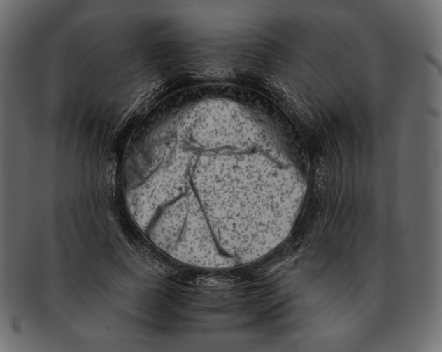 X0000091920739200710031039