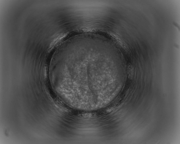 X0000091920740200710031039