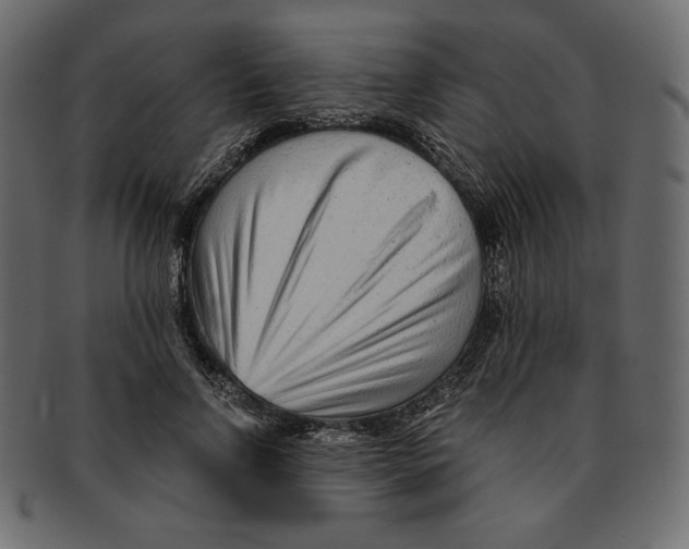 X0000091920742200710031039